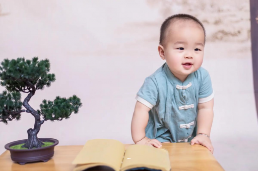 寿光可爱的企鹅宝宝